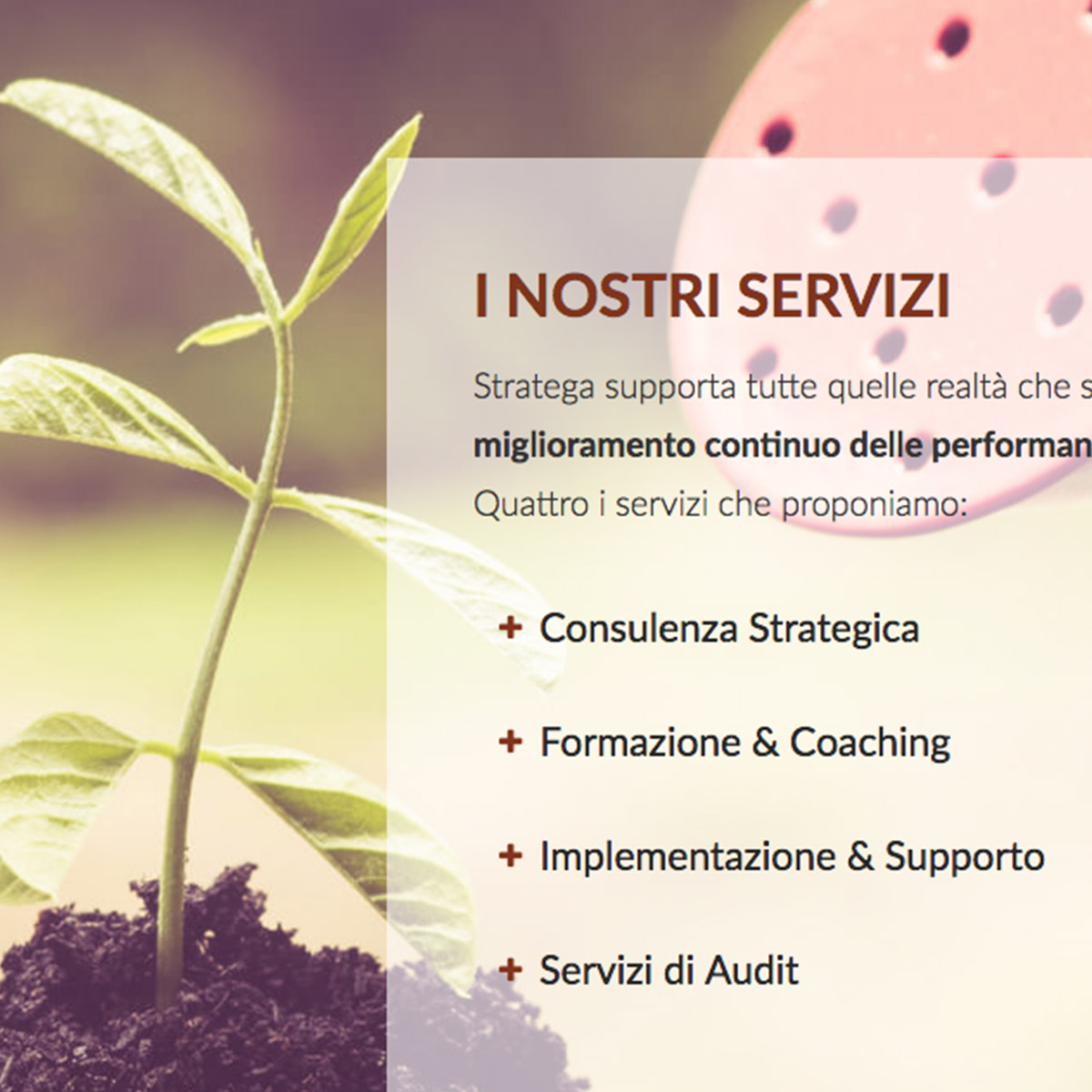 Stratega Consulting Ltd
